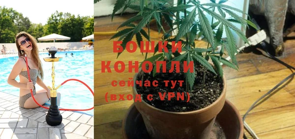 a pvp Алзамай