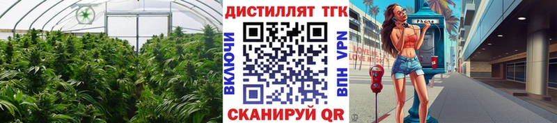 Дистиллят ТГК THC oil Болхов
